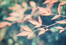 2026年河北医科大学《801 生物化学一》考研精品资料