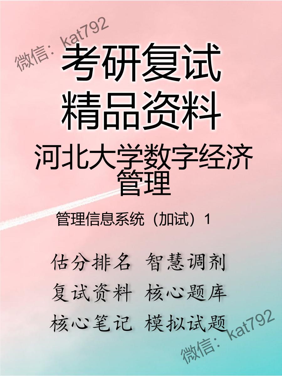 2025年河北大学数字经济管理《管理信息系统（加试）》考研复试精品资料1